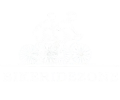 bikeridezone-removebg-preview